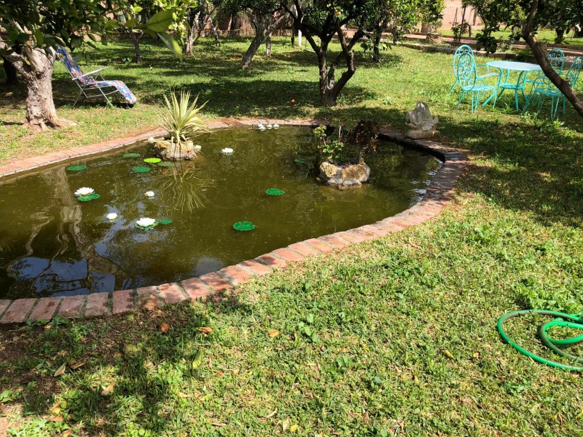 La Casita Del Cactus - Casa De Campo Con Piscina Alcala de Guadaira Luaran gambar