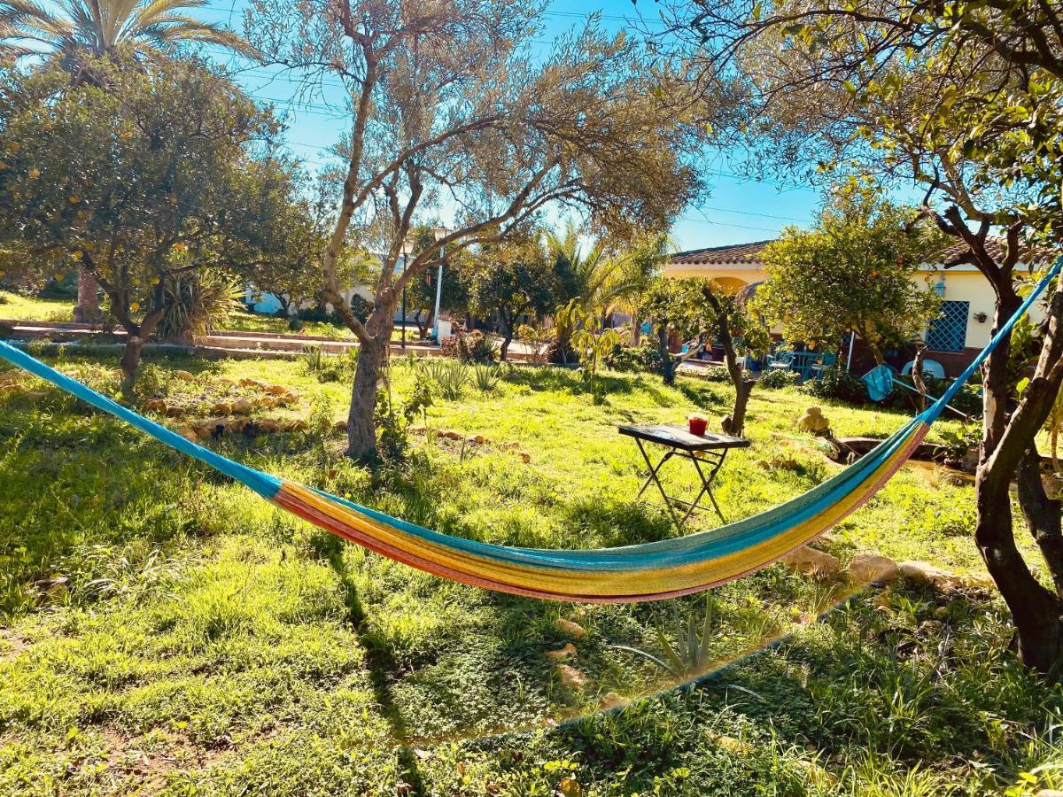 La Casita Del Cactus - Casa De Campo Con Piscina Alcala de Guadaira Luaran gambar