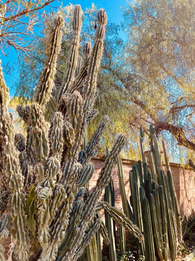 La Casita Del Cactus - Casa De Campo Con Piscina Alcala de Guadaira Luaran gambar