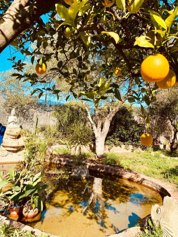 La Casita Del Cactus - Casa De Campo Con Piscina Alcala de Guadaira Luaran gambar